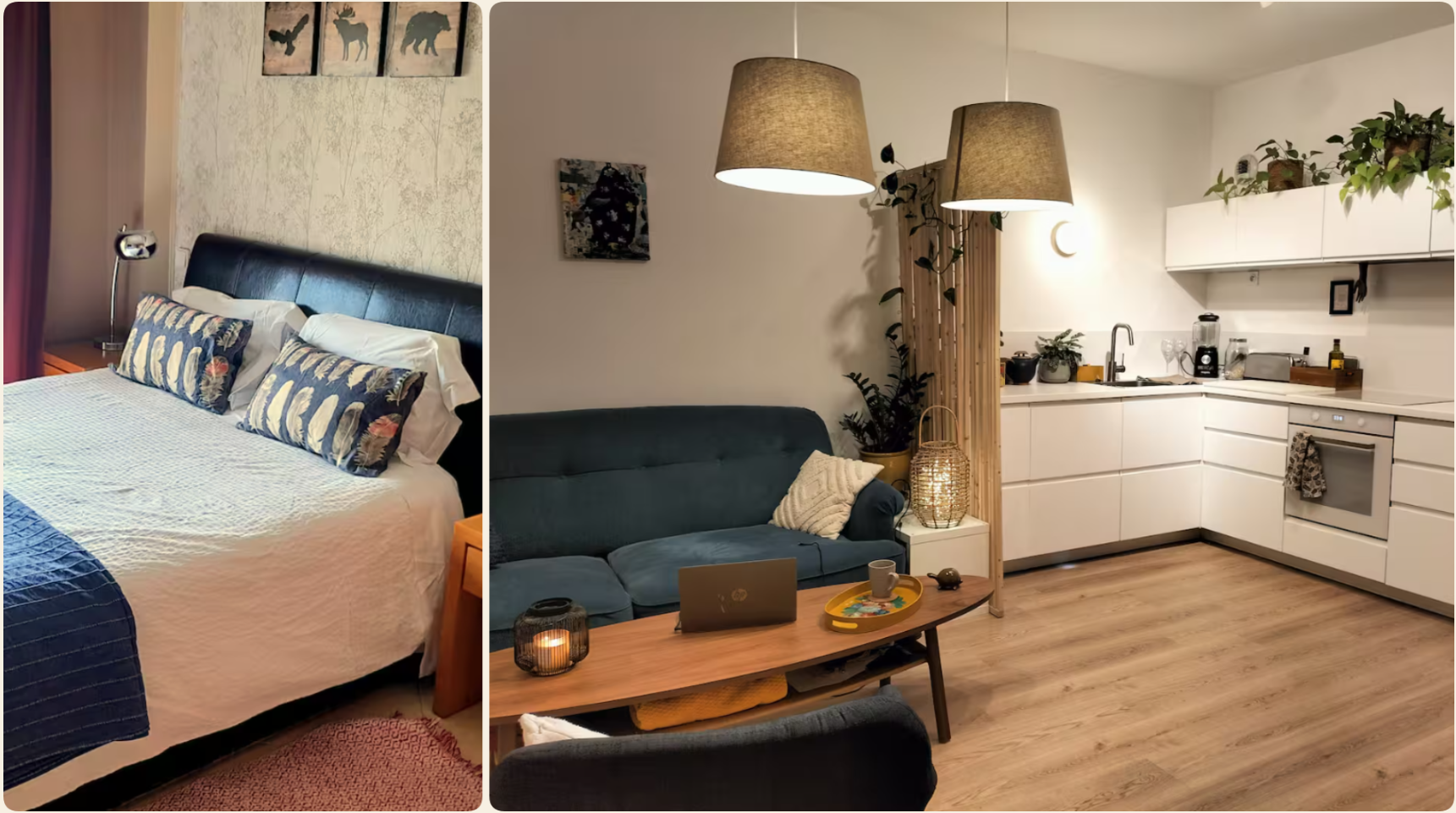 Professional House Cleaning in Orlando Montagem 3